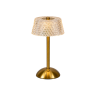 LUMINARIA CUPULA CRISTAL EM ACRILICO RECARREGAVEL TOUCH 30X16X15