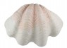 Concha Decorativa em Poliresina 69x49x27 cm