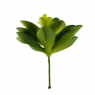 Suculenta Flor Artif. Verde 6Unid. 10X10X11CM