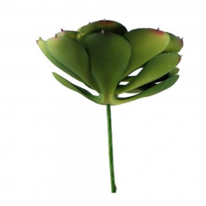 Suculenta Artif. Flor Verde 6Unid. 11X11X12CM