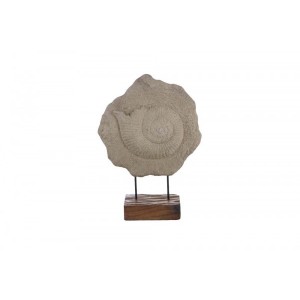 Escultura Caracol em Pedra com Base de Madeira A53xD40 cm