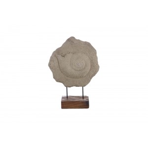 Escultura Caracol em Pedra com Base de Madeira A53xD40 cm