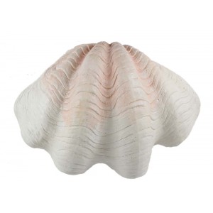 Concha Decorativa em Poliresina 69x49x27 cm