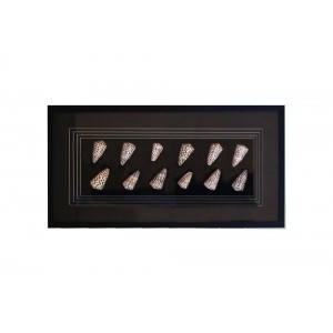 Quadro Decorativo Cones A80xC40xE6 cm