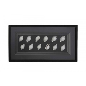 Quadro Decorativo Conchas do Mar A80xC40xE6 cm